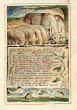 The Clod And Pebble By William Blake