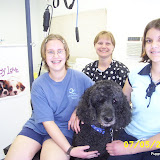DogGrooming