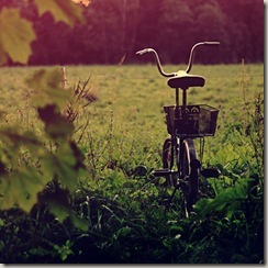 my_bicycle_by_zi0oto-d4bdxrb