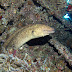 P6103905