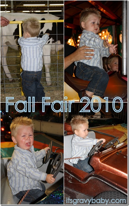 Fall Fair 2010