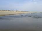 IMG_20120708_073008.jpg