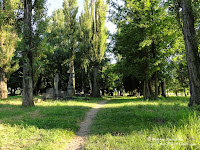 Cmentarz przy ul. Samotnej w Poznaniu