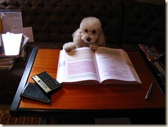 study study