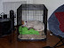 Breezy's First Day Home