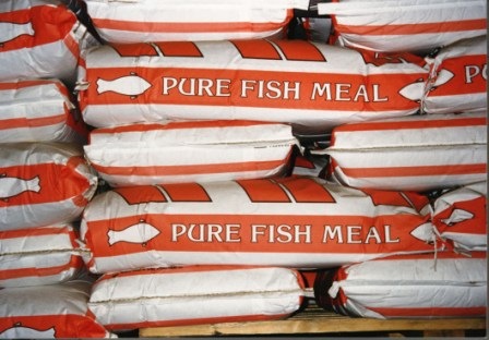 [Fish-meal-bags%255B7%255D.jpg]