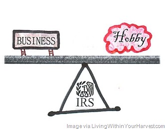 hobby-vs-business
