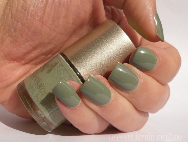 004-accessorize-nail-polish-wyoming-notd-review-swatch