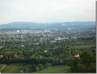 IMG_1801 IMG_1801