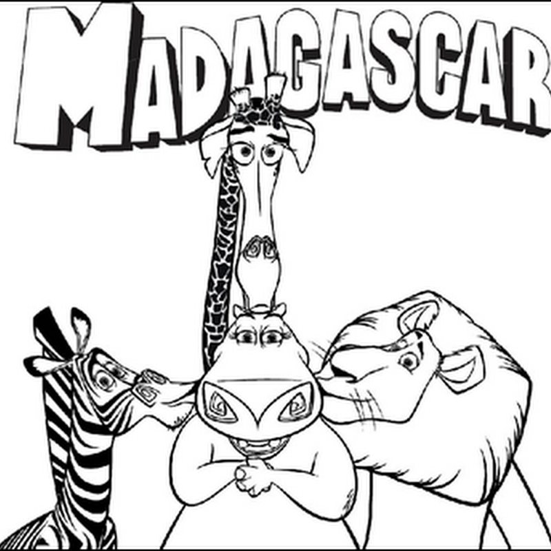 Desenhos - Madagascar - Pintar e Colorir