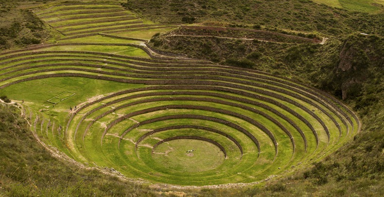 moray-terraces-13 moray-terraces-13