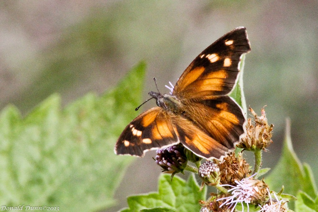 [130107_E11%255B4%255D.jpg]