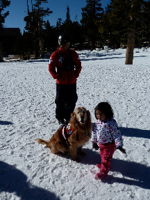 Avalanche crew at work
