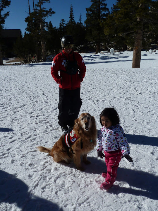 Avalanche crew at work