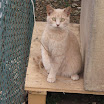 IMG_2779.JPG