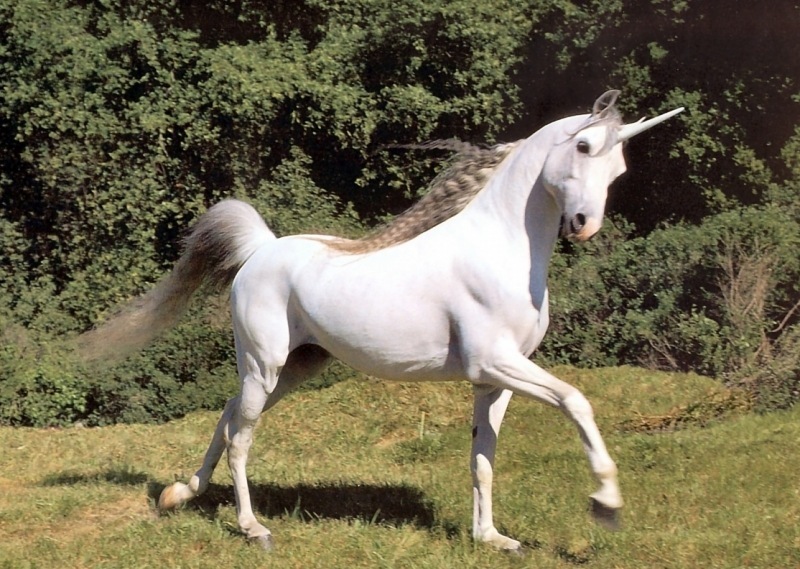 unicornio1