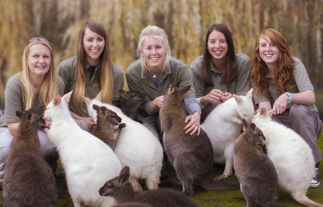 [SWE_Keepers_101114_01%2520%25282%2529%255B3%255D.jpg]