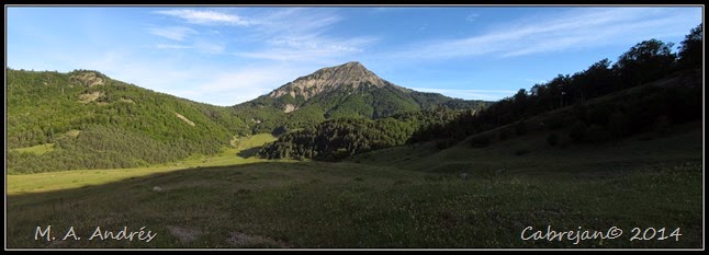 pano1 pano1