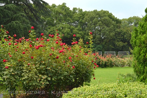 Glória Ishizaka -   Kyoto Botanical Garden 2012 - 109