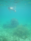Nadando en la zona de coral de San Bernardo