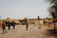 DSC_0036.JPG