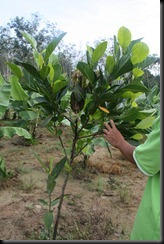 IMG_4875 IMG_4875