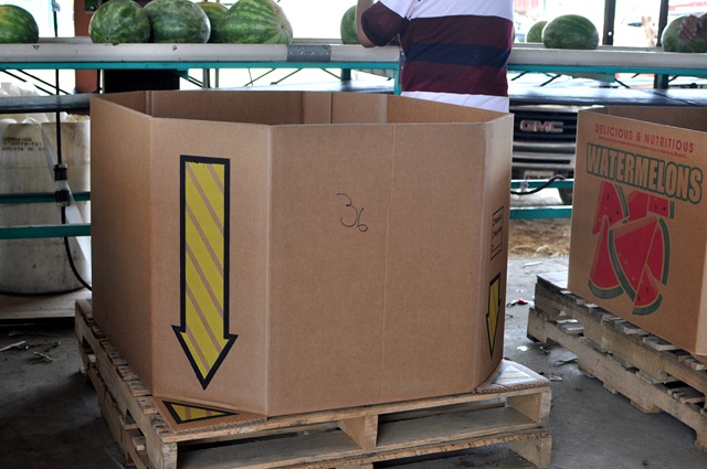 [watermelons%252011%25200705%2520%2528109%2529%255B4%255D.jpg]