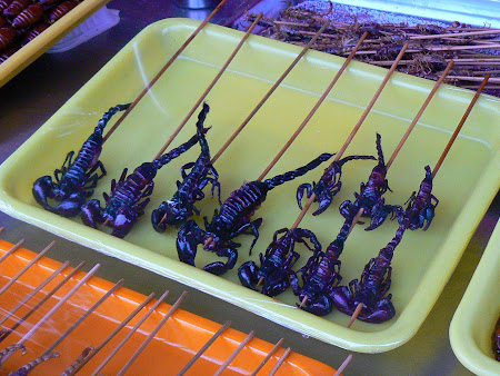 China: local food - scorpions 