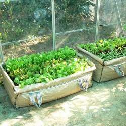 [Gro-Beds%255B9%255D.jpg]