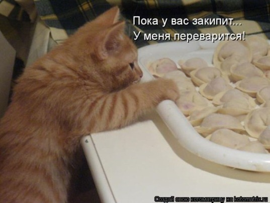 [28f757e4c0d6%255B3%255D.jpg]