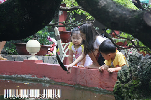 Dong Hong, Thanh Dong, Thu Hong