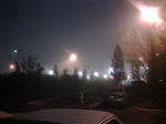 IMG00123-20091203-0628.jpg