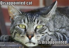 disappointed disappointed