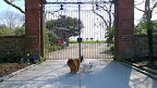 G.K., Sharkey, do you think we can get around this gate somehow?  I want to see more of this historic mansion called Rough Point!