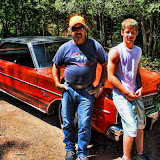 Cars Cars