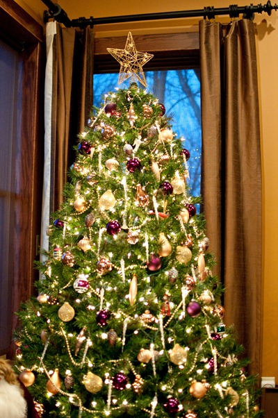 christmas_2011_7