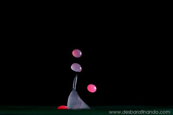 liquid-drop-art-gotas-caindo-foto-velocidade-hora-certa-desbaratinando (46) liquid-drop-art-gotas-caindo-foto-velocidade-hora-certa-desbaratinando (46)