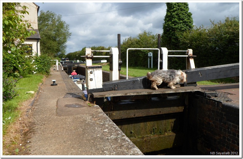 SAM_1039 Grants Lock SAM_1039 Grants Lock