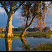 WinterPuddle25-s.jpg