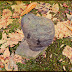 DSCN3648.JPG