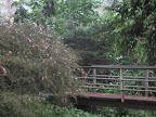 Victoria Park