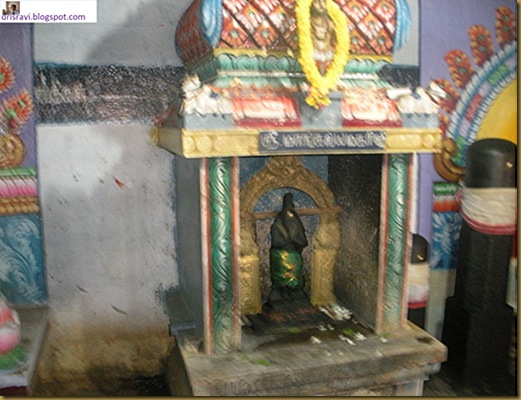 DSCN3500 DSCN3500