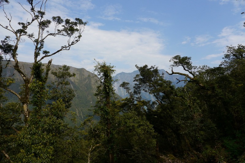 2013_0301 新城山_058 2013_0301 新城山_058