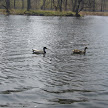 P1070631.JPG