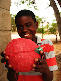 South Africa - 248.JPG