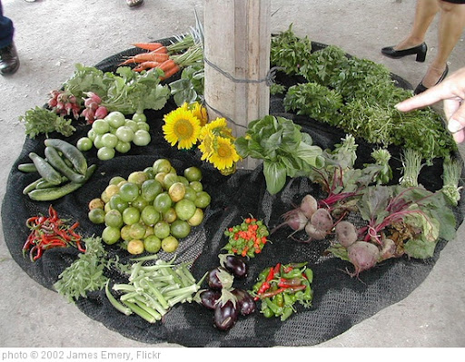 'Community grown vegetables_Cuba 218' photo (c) 2002, James Emery - license: http://creativecommons.org/licenses/by/2.0/