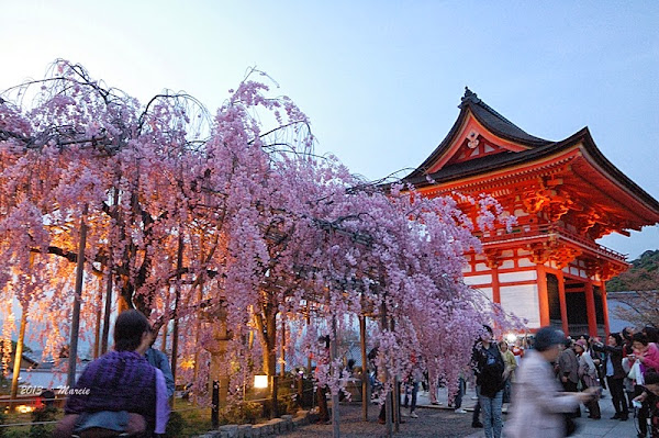 京都清水寺
