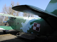 P3170150.JPG