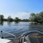 IMG_7803.JPG