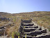 Mykonos and Delos